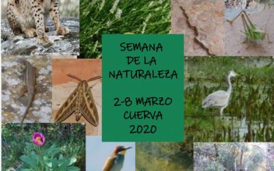 SEMANA DE LA NATURALEZA