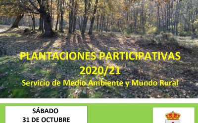 PLANTACIONES PARTICIPATIVAS CON EL VIVERO TAXUS