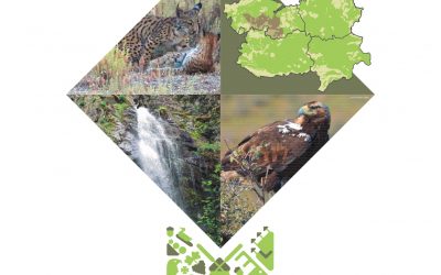 «ECOTURISMO RED NATURA 2000 CLM» EN LOS MONTES DE TOLEDO